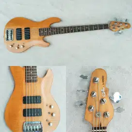 Gnl 2500 bass 5 string