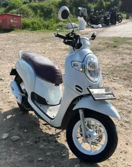 Scoopy 2019 Stylish