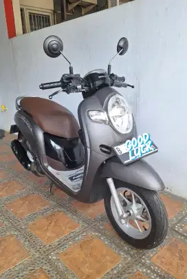 Honda Scoopy stylish 2019