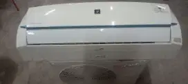 AC sharp 1/2pk ori mulus