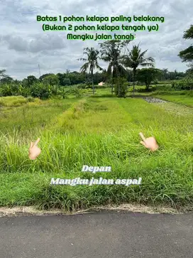 DIJUAL TANAH SAWAH (SHM)