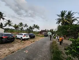 Tawangsari Kulonprogo - Tanah Murah Jogja Dekat Bandara YIA