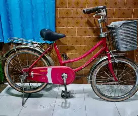 Sepeda Phoenix Sepeda PancaL Sepeda Keranjang ukuran roda 20