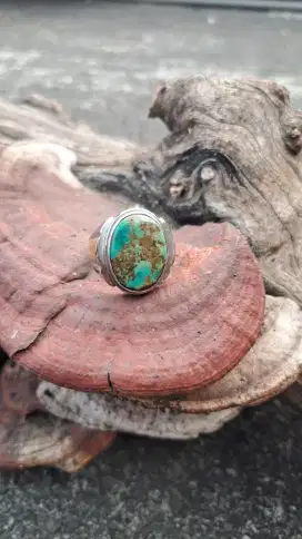 pirus persia ring monel lawasan