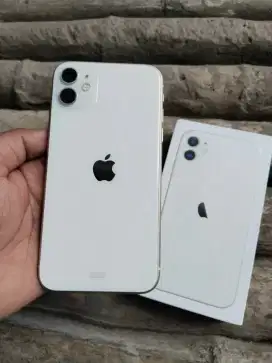 iphone 11 64gb GDN resmi