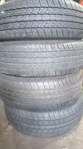 Ban Bridgestone