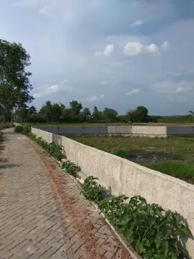 Dijual Cepat Tanah Seluas 981 Meter Dekat Stasiun KRL Daru Status SHM