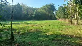 Bangunjiwo, Tanah Kasihan Bantul, Dekat UMY
