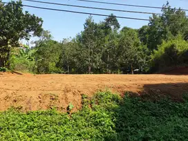 Tanah di Ciburial kab. Bandung Suasana Rindang Sejuk Alami