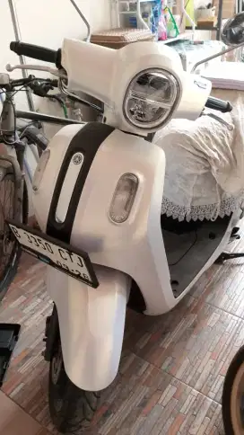 Fazzio tahun 2023 hybrid lux keyles
Warna white pearl