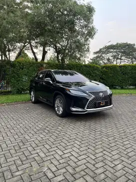 Lexus RX300 2020 Bensin