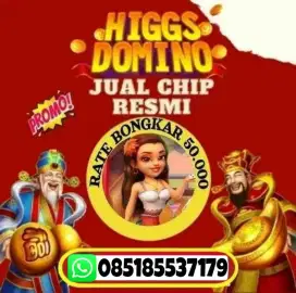 coin chip domino hdi