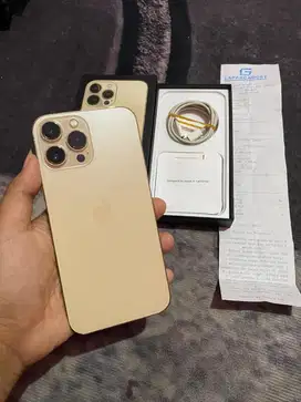 Iphone 13 Pro Max 256Gb Inter