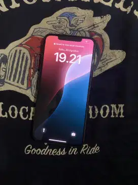 IPHONE 11 PRO MAX 512GB
