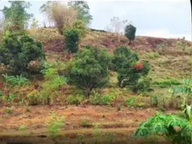 Dijual Tanah sekitar Jalan Poros Malino, Gowa