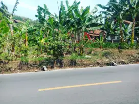 Jual tanah pingir jalan propingsi jalur wisata Ciwidey soreang