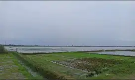 Tanah 6 Ha di Babelan Bekasi