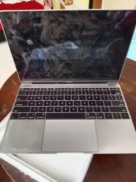 Macbook retina 12 inc 2015 matot