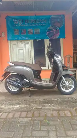 Scoopy Stylish 2019 surat2 lengkap hidup termurah