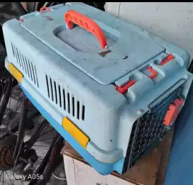 Phetcargo Kucing