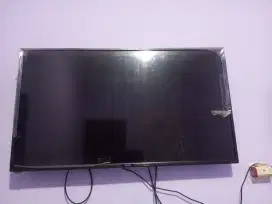 Tv cocoa 42 inc
