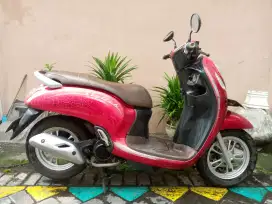 Scoopy keyles 2021
