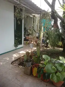 Jual rumah dalam cluster Sarijadi Raya Bandung