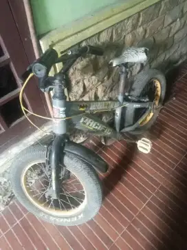 Jual sepeda anak bekas