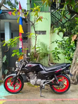 Tiger lama 2005 asli hitam