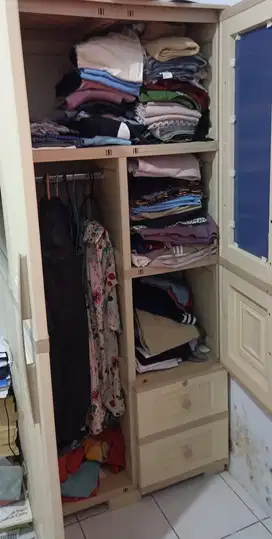 Lemari pakaian plastik 2 pintu