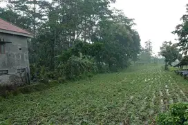 Dijual Tanah Trawas Cocok untuk Development