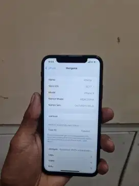 Iphone x 64gb inter