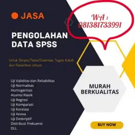Jasa Olah Data Skripsi dan Tesis
