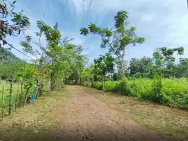 Dijual Tanah sekitar Jalan Poros Kariango Carangki, Maros