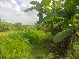 Land Leasehold In Heart Berawa Canggu Bali