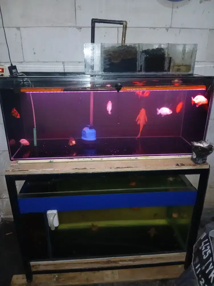Tank Fullset Take All