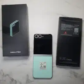 Samsung Galaxy Z Flip6 256 Mint, Sein