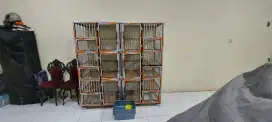 Kandang kucing alumunium kaca