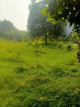 DIJUAL Cepat !!!! Tanah kosong untuk dijadikan Town House di Jagakarsa