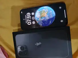 Iphone 13promax 256gb LL/A BT/TT