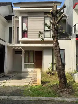 Fiore Foresta BSD City