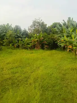 Dijual Cepat !! Tanah Kosong di area Jagakarsa