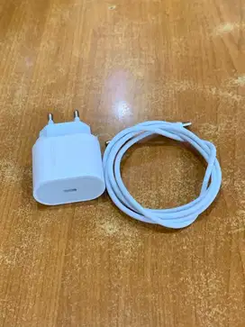 ORIGINAL CHARGER IPHONE TYPE C TO TYPE C CASAN CHARGERAN