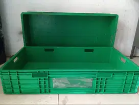Bak Kolam Plastik Kura Kura d592 bc