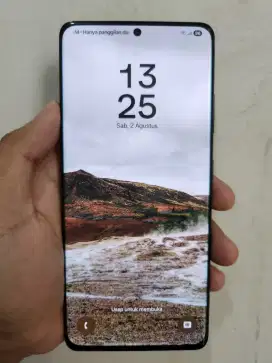 Samsung S21 ULTRA Mulus No Minus