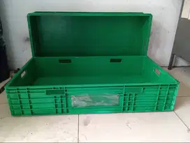 Bak Kolam Plastik Kura Kura d592 cb