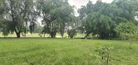 Tanah Kavling lt452m2 di Sedana Golf samping area Industri, Karawang