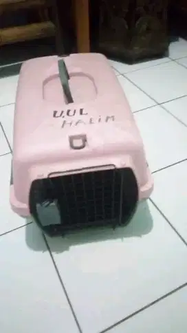 Kandang Kucing Anggora