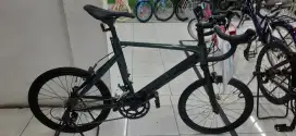 Minivelo Tern Surge