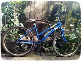 Sepeda MTB 26 Alloy terawat